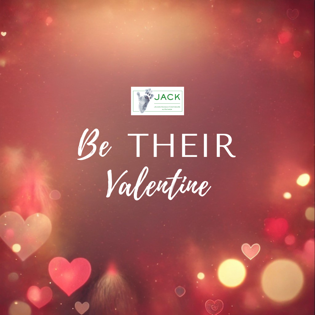 Be THEIR Valentine